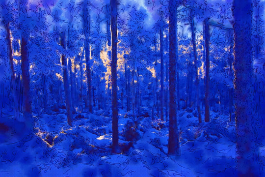 夢(mèng)幻雪林圖 電腦畫