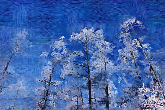 雪林霧凇圖 電腦油畫