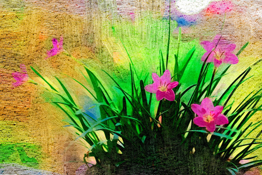 油畫 裝飾畫 無框畫 花朵