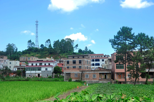 魅力田园乡村