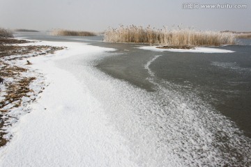 湿地冬天