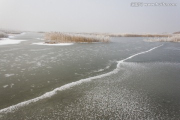 湿地冬天