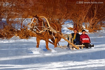 馬拉爬犁踏雪圖 電腦油畫