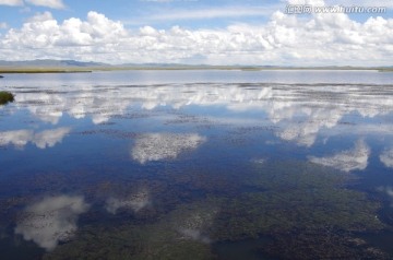 若尔盖花湖