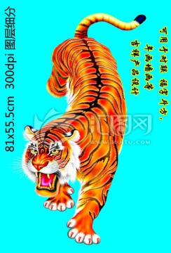 老虎