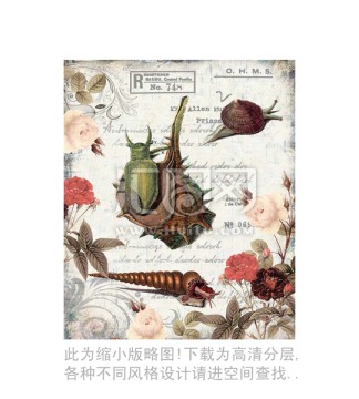 螺 花卉 設(shè)計(jì)素材 合理分層