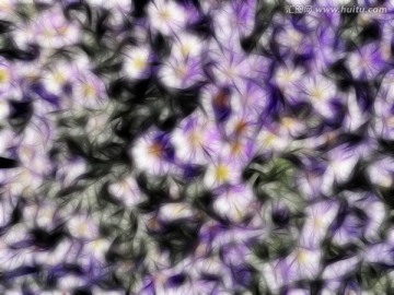 花朵 电脑抽象画