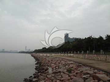 深圳湾风景