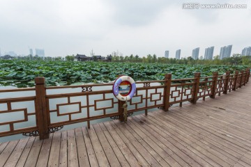 武汉沙湖公园桥
