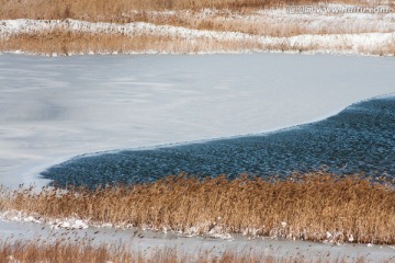 湿地雪韵