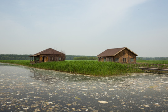 沼泽木屋