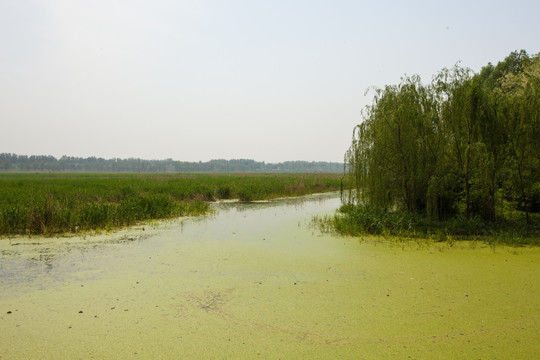 顺义湿地