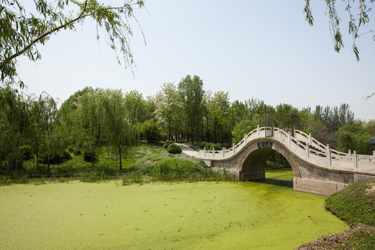 汉石桥湿地公园