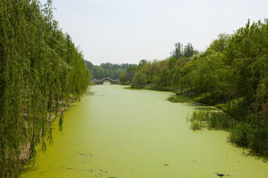 湿地公园