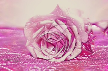 玫瑰花裝飾畫 浮雕畫