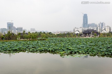 武汉沙湖公园