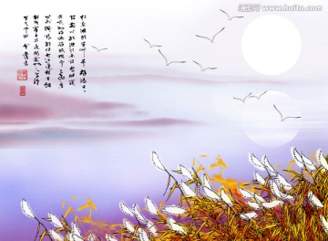 唯美背景  蘆葦