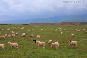 甘南草原牧场