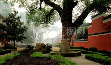 寺院