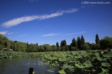紫竹公园