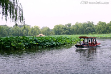 圆明园 荷花池