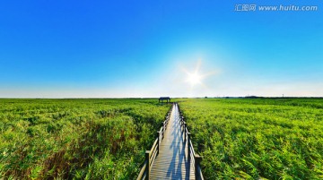 晴空苇塘栈道木亭