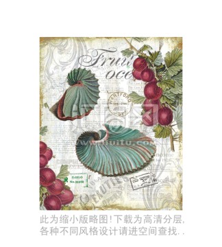 螺 水果 設(shè)計素材 合理分層