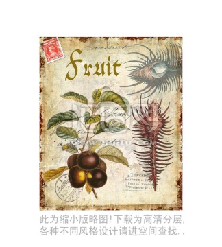 螺 水果 設(shè)計(jì)素材 合理分層