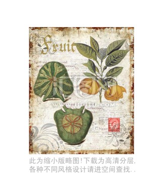 螺 水果 設(shè)計(jì)素材 合理分層