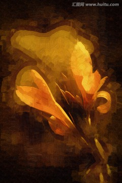 抽象畫(huà)花卉 無(wú)框畫(huà)  裝飾畫(huà)