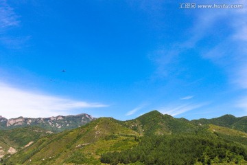 茅荆坝森林公园