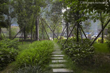 小區(qū)綠化景觀
