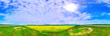 青海湖岸广袤油菜花田野宽幅全景