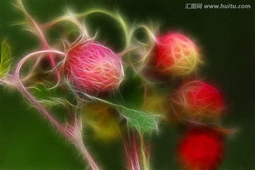 東方草莓 電腦抽象畫