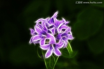 抽象花朵 電腦畫
