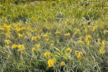 花之原野 電腦抽象畫(huà)
