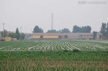 乡村景致