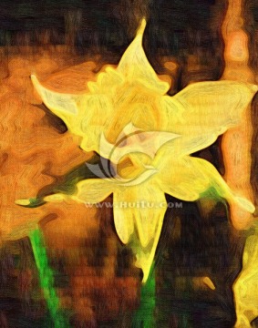 花朵裝飾畫
