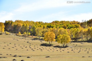 坝上风光 红山军马场