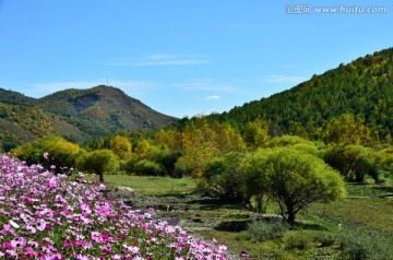 木兰围场附近景观