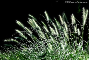 抽象畫芒草 無框畫 裝飾畫