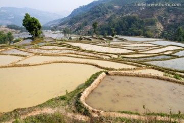 云南元阳梯田风光