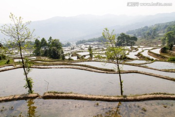 元阳坝达梯田一角