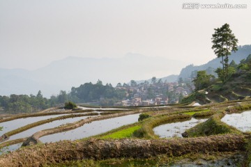 云南元阳 坝达梯田风光