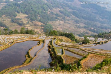 云南元阳 坝达梯田风光