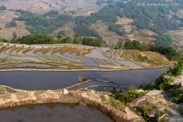 云南元阳 坝达梯田风光