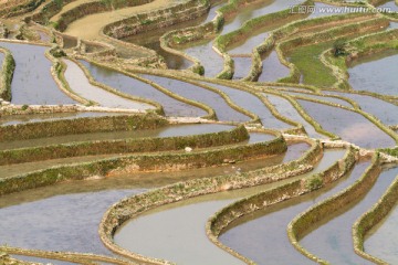 云南元阳 坝达梯田风光