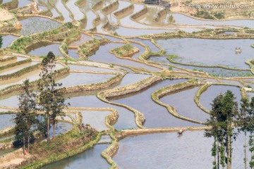 云南元阳 坝达梯田风光