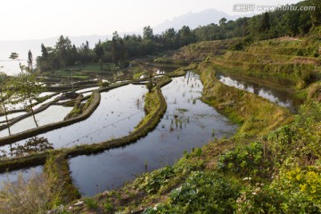 坝达梯田风光一角