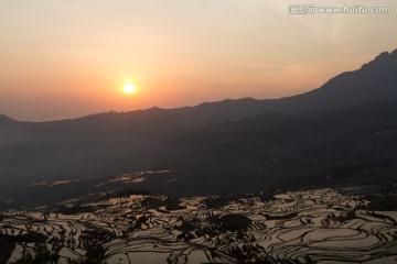 多依树梯田日出